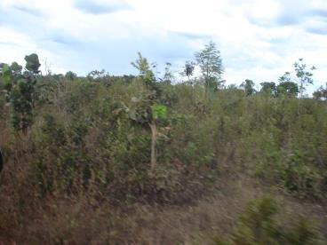 Venda de fazenda na regao de primavera do leste m