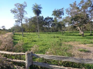 Fazenda de 600 ha