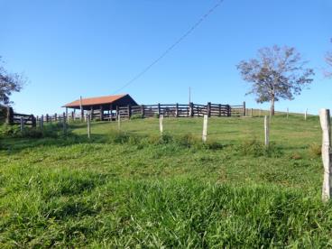 Fazenda de 600 ha