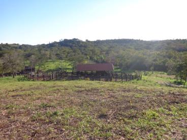 Fazenda de 600 ha