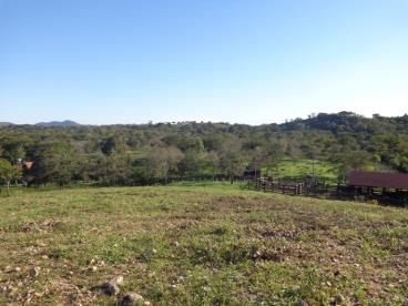 Fazenda de 600 ha