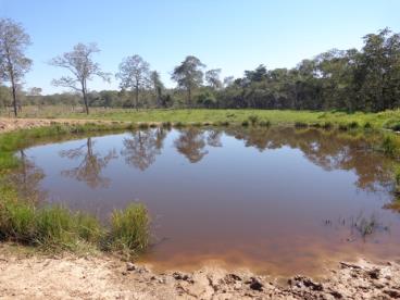 Fazenda de 62 ha