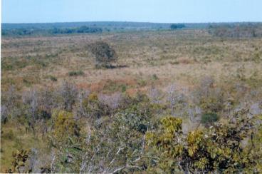 Fazenda no tocantins