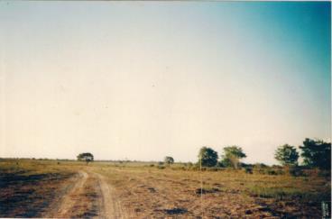 Fazenda no tocantins