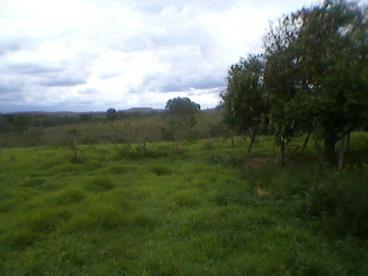 Fazenda em pres. olegario