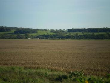 Fazenda de 1.424 ha