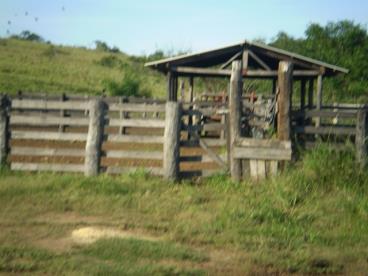 Fazenda de 1.424 ha