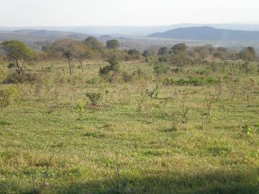 Fazenda de 1.000 ha