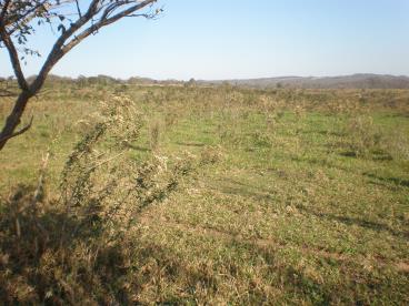 Fazenda de 1.000 ha