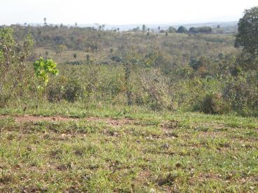 Fazenda de 1.000 ha