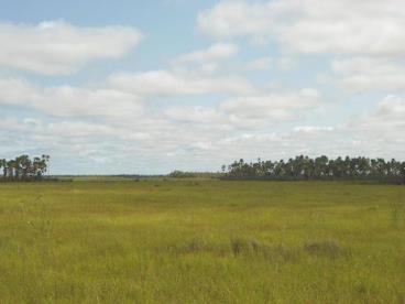 Fazenda no pantanal do nabileque