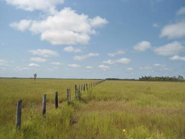 Fazenda no pantanal do nabileque