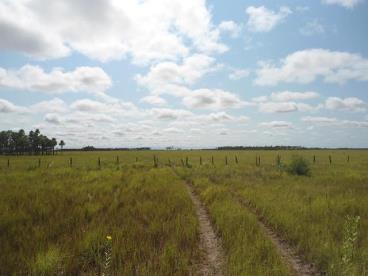 Fazenda no pantanal do nabileque