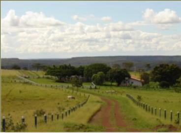 Fazendas cod.: 1096 - campo alegre de goiás/go