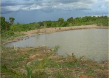 Fazendas cod.: 1464 - monte alegre de goiás/go