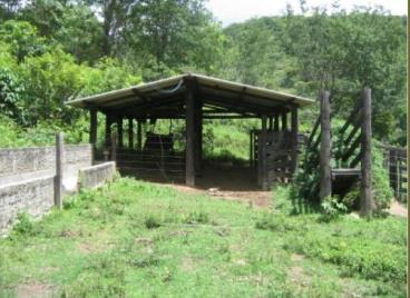 Fazendas cod.: 2264 - pirenópolis/go