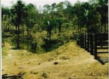 Fazendas cod.: 502 - santa cruz de goiás/go