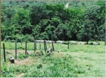 Fazendas cod.: 502 - santa cruz de goiás/go