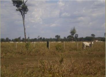 Fazendas cod.: 2497 - barra do garcas/mt