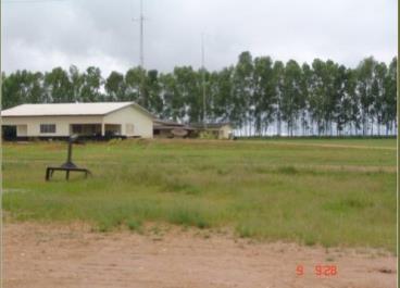 Fazendas cod.: 2616 - campos de júlio/mt