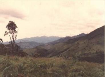 Fazendas cod.: 182 - bocaina de minas/mg