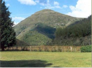 Fazendas cod.: 345 - bom jardim de minas/mg