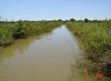 Fazendas cod.: 772 - brasilandia de minas/mg