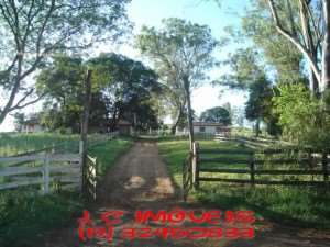 Fazenda a venda em conceicao do rio verde - minas