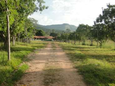 2.187 ha 90% formado suporta 2.000 cabecas de gado