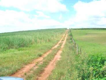 Fazenda parana cruzeiro doeste cana