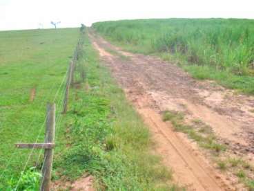 Fazenda parana cruzeiro doeste cana