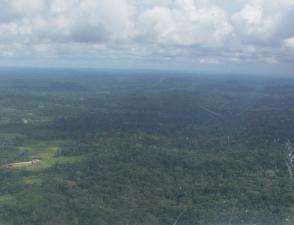 Fazenda a venda em pontal da amazonia/tarauacá