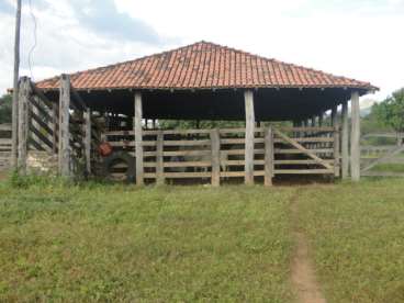 2.187 ha 90% formado suporta 2.000 cabecas de gado