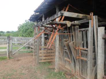 2.187 ha 90% formado suporta 2.000 cabecas de gado