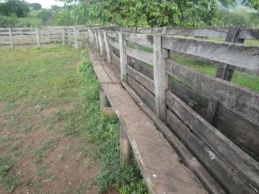 2.187 ha 90% formado suporta 2.000 cabecas de gado