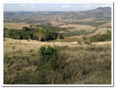 Fazenda a venda em paraná município de prudentópol