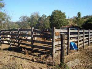 Fazenda em mairipotaba - go