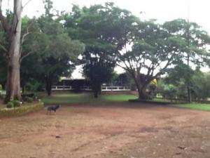 Fazenda em planaltina de goiás - goiás