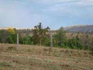 Fazenda em mairipotaba - go