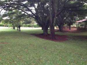 Fazenda em planaltina de goiás - goiás