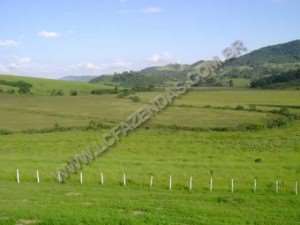 Fazenda em sao goncalo do sapucaí - minas gerais