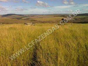 Fazenda em sacramento - minas gerais