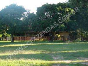 Fazenda em planaltina de goiás - goiás