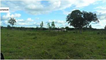 850 ha cuiabá mt (pecuária)