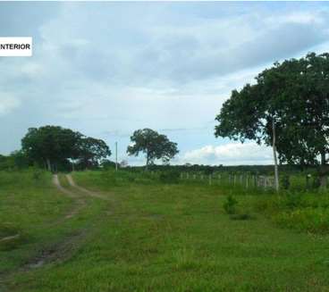 850 ha cuiabá mt (pecuária)