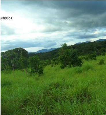 850 ha cuiabá mt (pecuária)