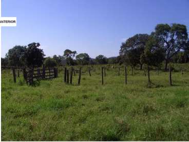 880 ha guiratinga mt(pecuária)