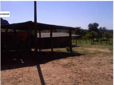 880 ha guiratinga mt(pecuária)
