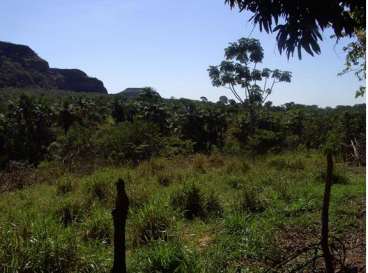 880 ha guiratinga mt(pecuária)