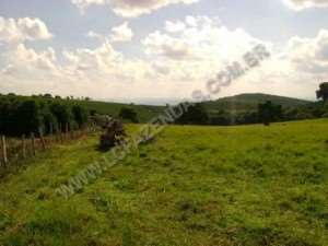 Fazenda em sao goncalo do sapucaí - minas gerais